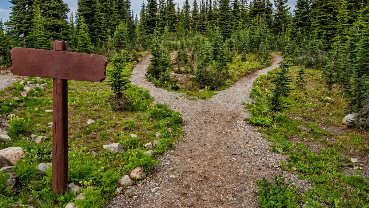 A gravel hiking trail splitting into two paths among young fir trees, with a blank wooden signpost on the left.